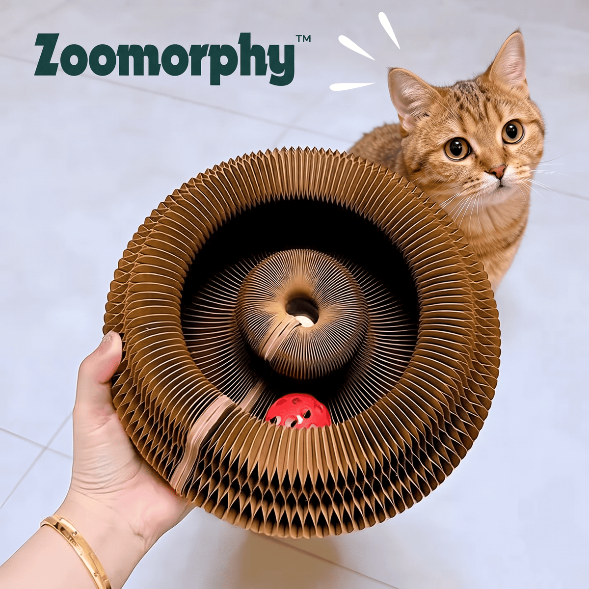 Zoomorphy® Rascador Acordeón