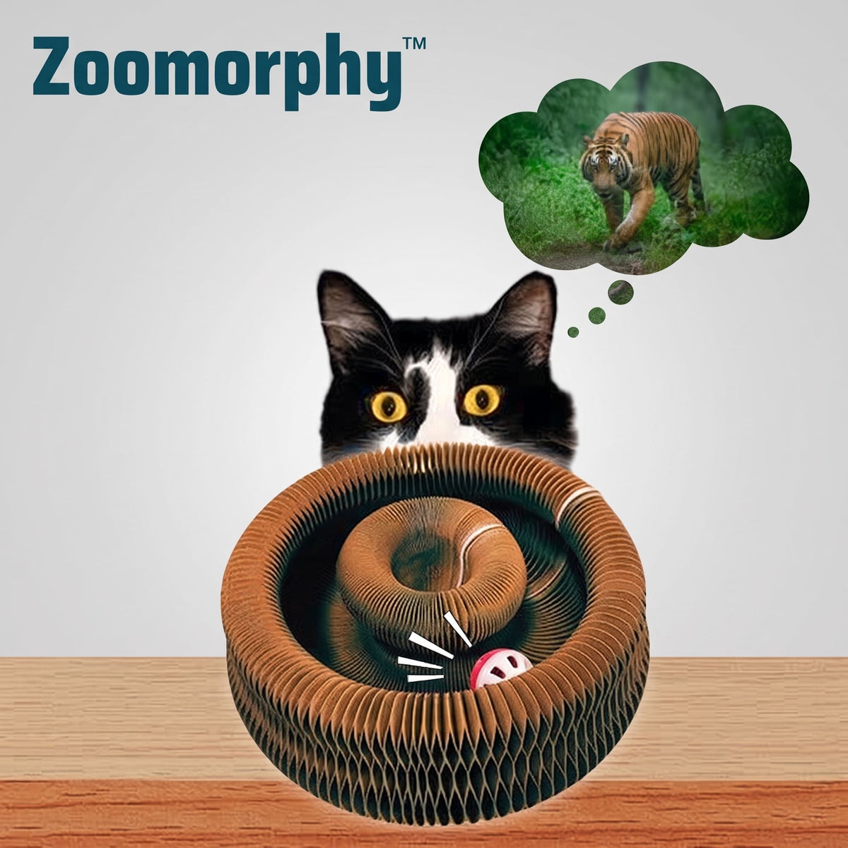 Zoomorphy® Rascador Acordeón