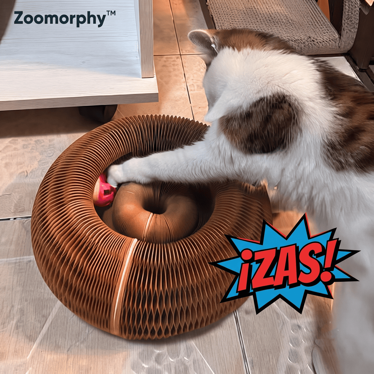 Zoomorphy® Rascador Acordeón